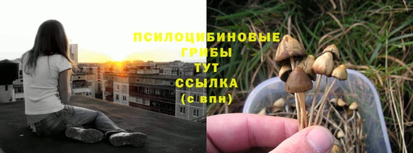ПСИЛОЦИБИНОВЫЕ ГРИБЫ Липки