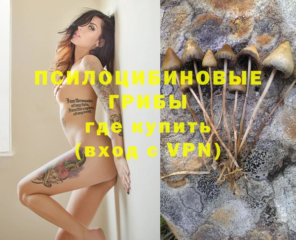 бошки Лихославль