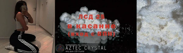 ПСИЛОЦИБИНОВЫЕ ГРИБЫ Липки