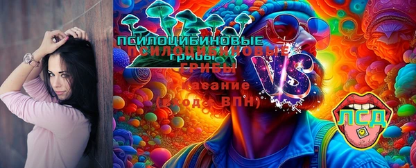 ПСИЛОЦИБИНОВЫЕ ГРИБЫ Липки