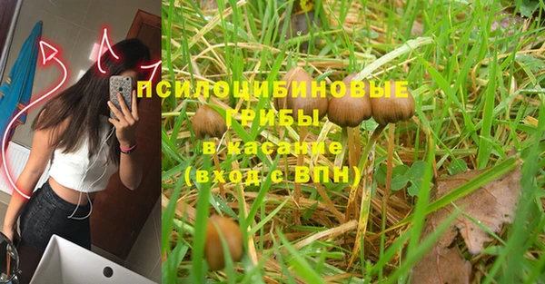 бошки Лихославль