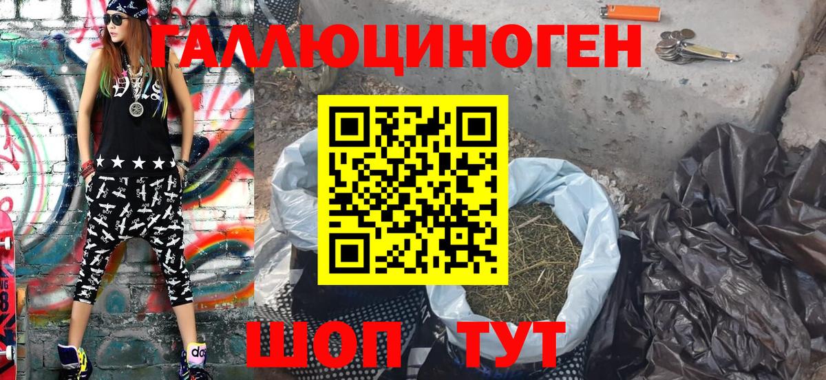 Галлюциногенные грибы Psilocybe Кемерово